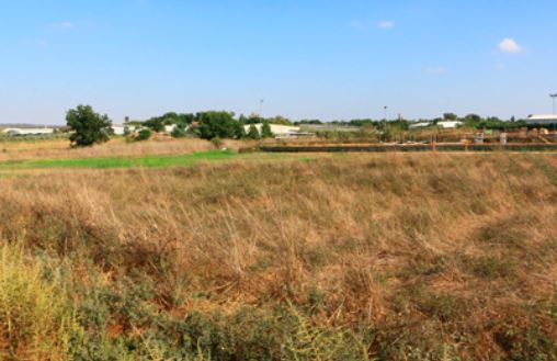 מרבה בעלים מרבה דאגה: מהו פירוק שיתוף וכיצד נערכים אליו? 