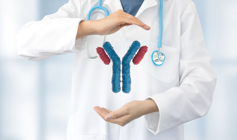 Patenting Antibodies in the US and the EU