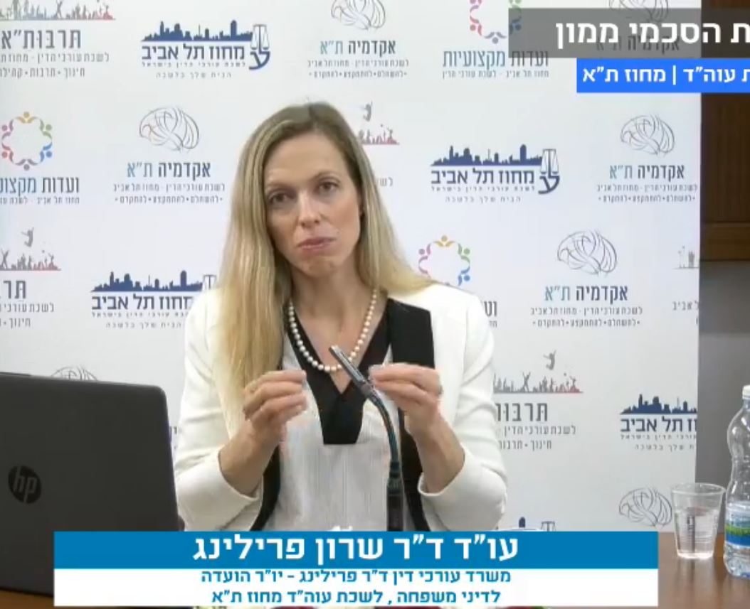 עריכת הסכמי ממון. 