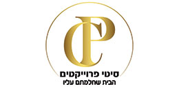 סיטי פרויקטים