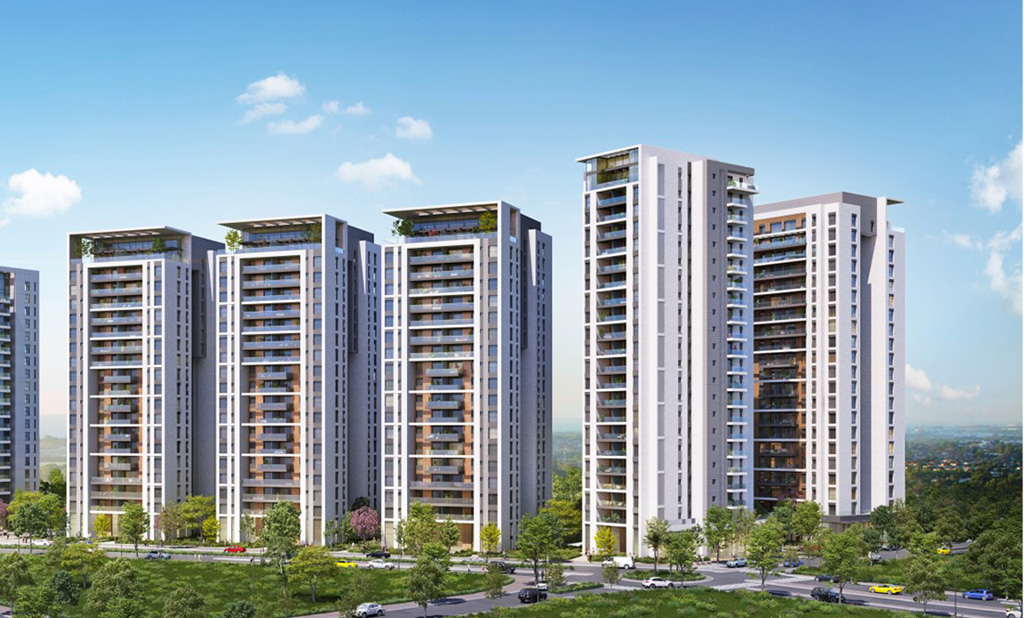 Shami Construction, Entrepreneurship & Urban Renewal Shami Construction, Entrepreneurship & Urban Renewal
