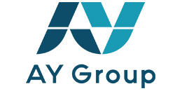 A.Y. Electronics Ltd.