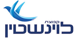 קבוצת לוינשטין
