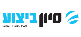 סיון ביצוע