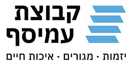קבוצת עמיסף