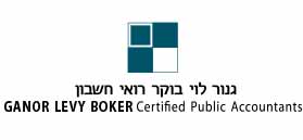גנור לוי בוקר, רואי חשבון