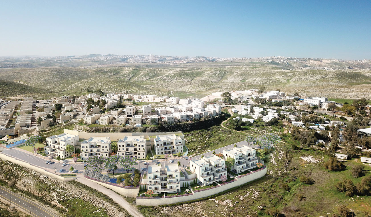 ארץ הצבי - חברה לעבודות בנין בע"מ