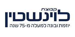 קבוצת לוינשטין