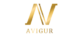 Logo Avigor entrepreneurship and business development