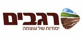 רגבים רמי צרפתי רגבים רמי צרפתי