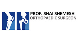Prof. Shai Shemesh