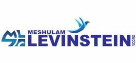 Meshulam Levinstein Contracting and Engineering Group Ltd.