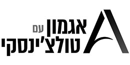 Agmon with Tulchinsky