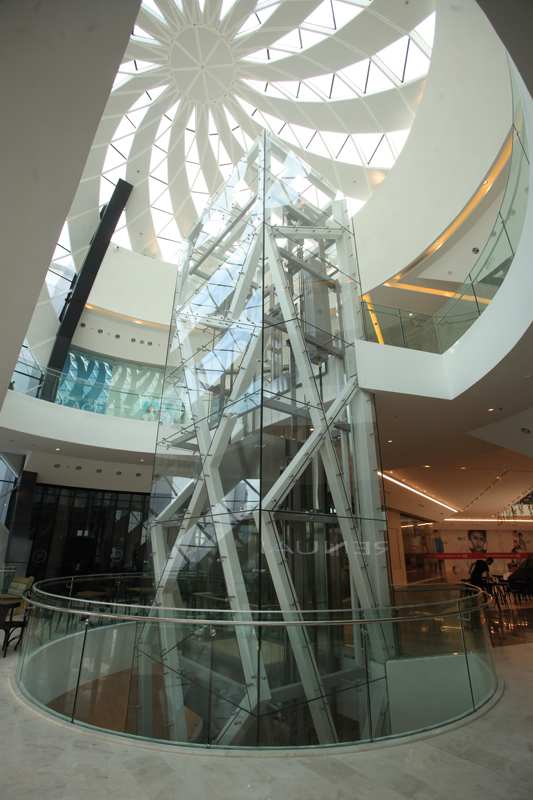Rafi Shapira Group - pic 3 | Rafi Shapira Group
