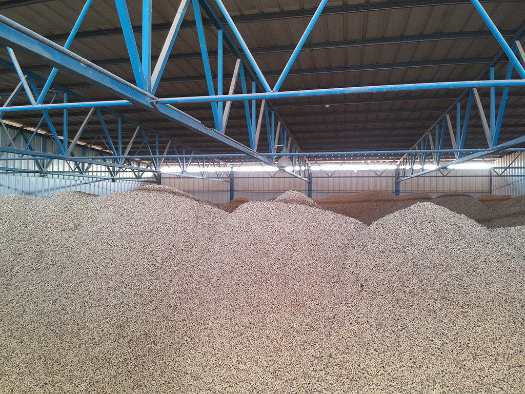 Tene Negev Ltd. - 1