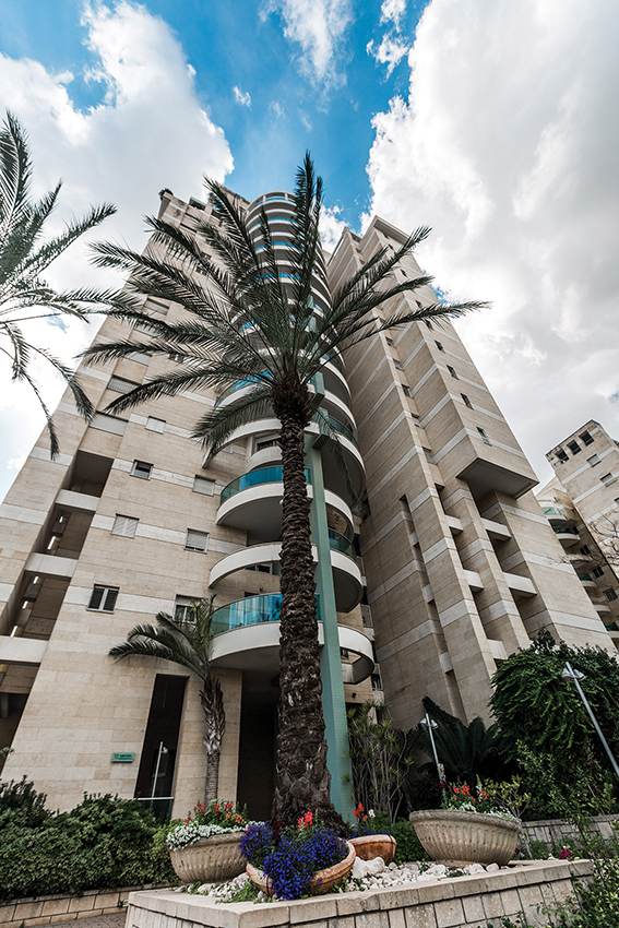 קבוצת חכשורי - 12 קבוצת חכשורי - 12