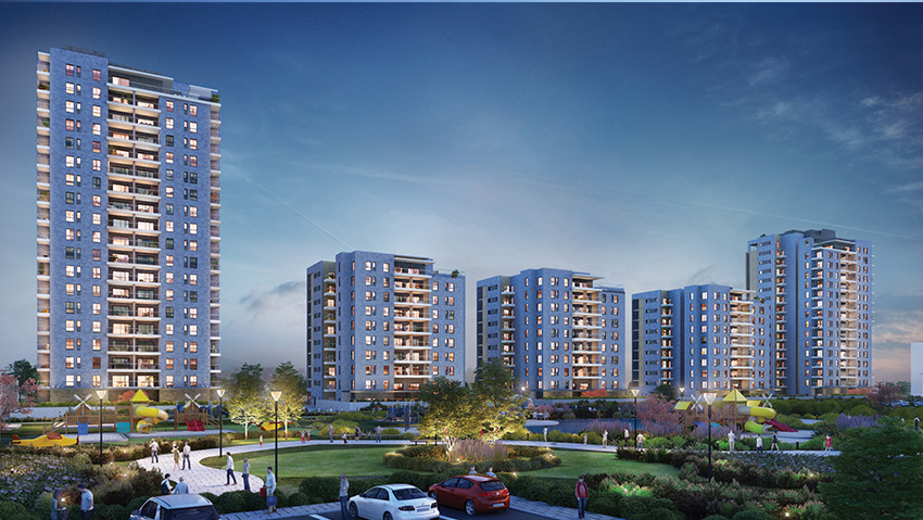 Barel Group - 6