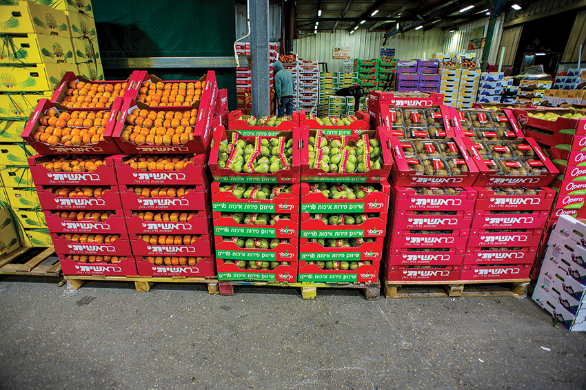 Ksantini Wholesale Marketing Rehovot 1991 Ltd. - 8