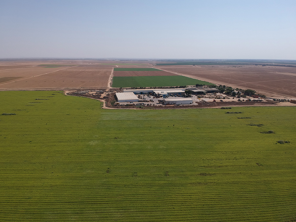 Tene Negev Ltd. - 3