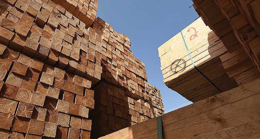 Kol Timber LTD - 3