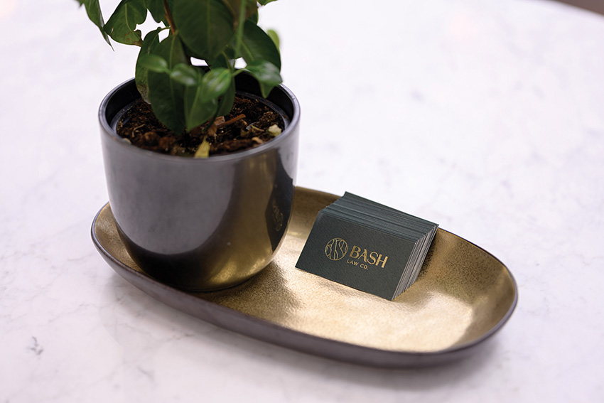 Anat Bash, Law Office - 5