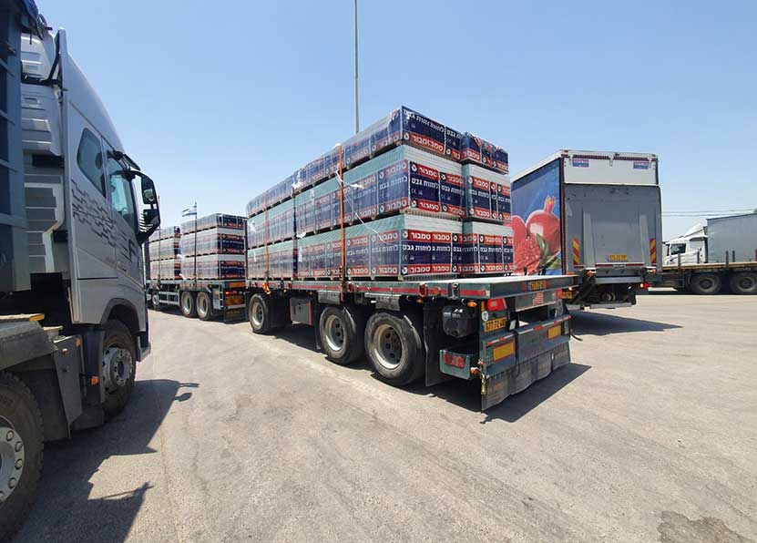 M. Afifi Ltd. - 25
