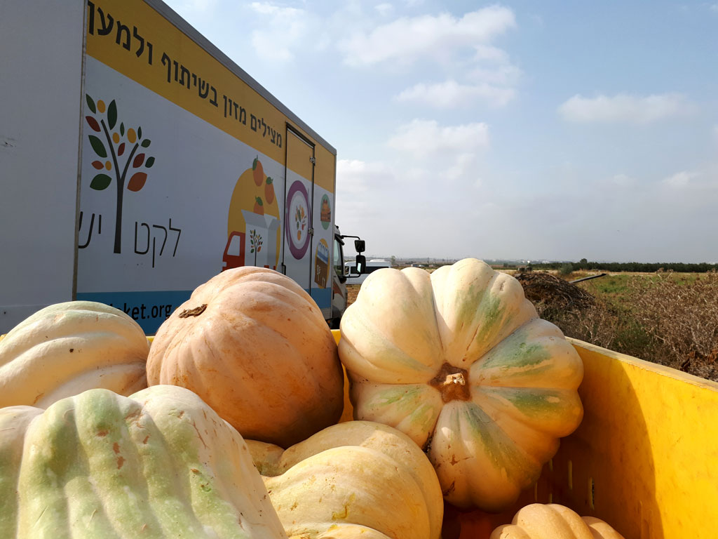 Leket Israel - 14