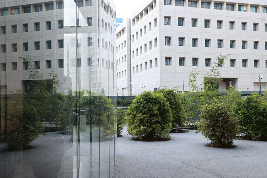 Y. Ben-Dror Law Firm - 1