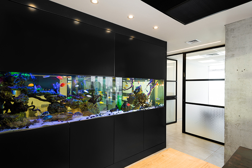 Warsha Asaf & Co. Law Office - 7
