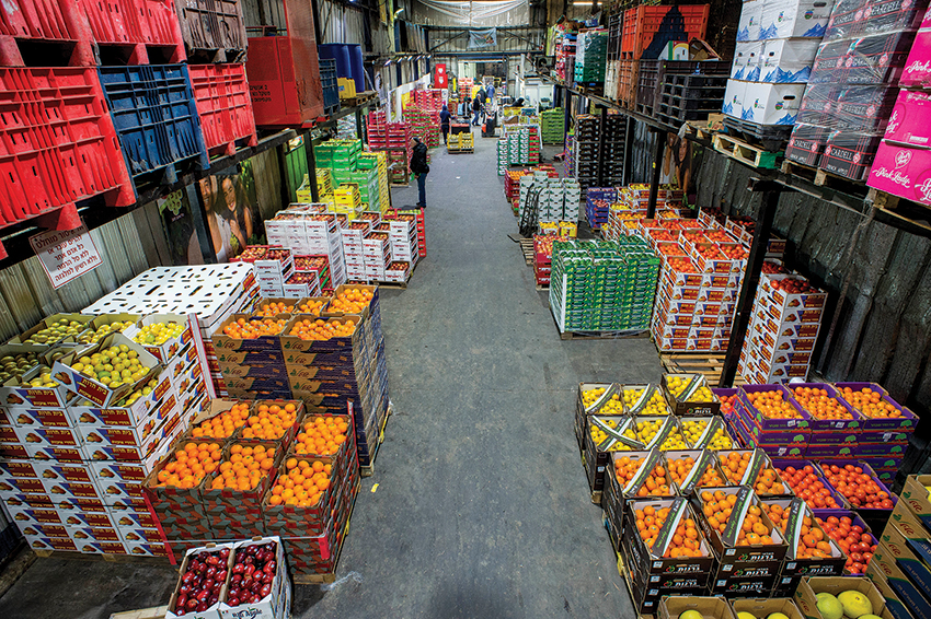 Ksantini Wholesale Marketing Rehovot 1991 Ltd. - 11