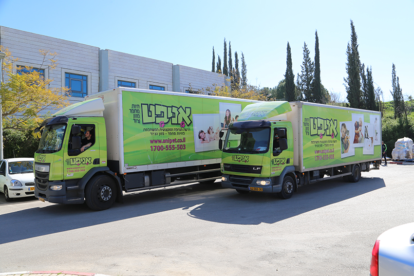אניפט - 1 אניפט - 1