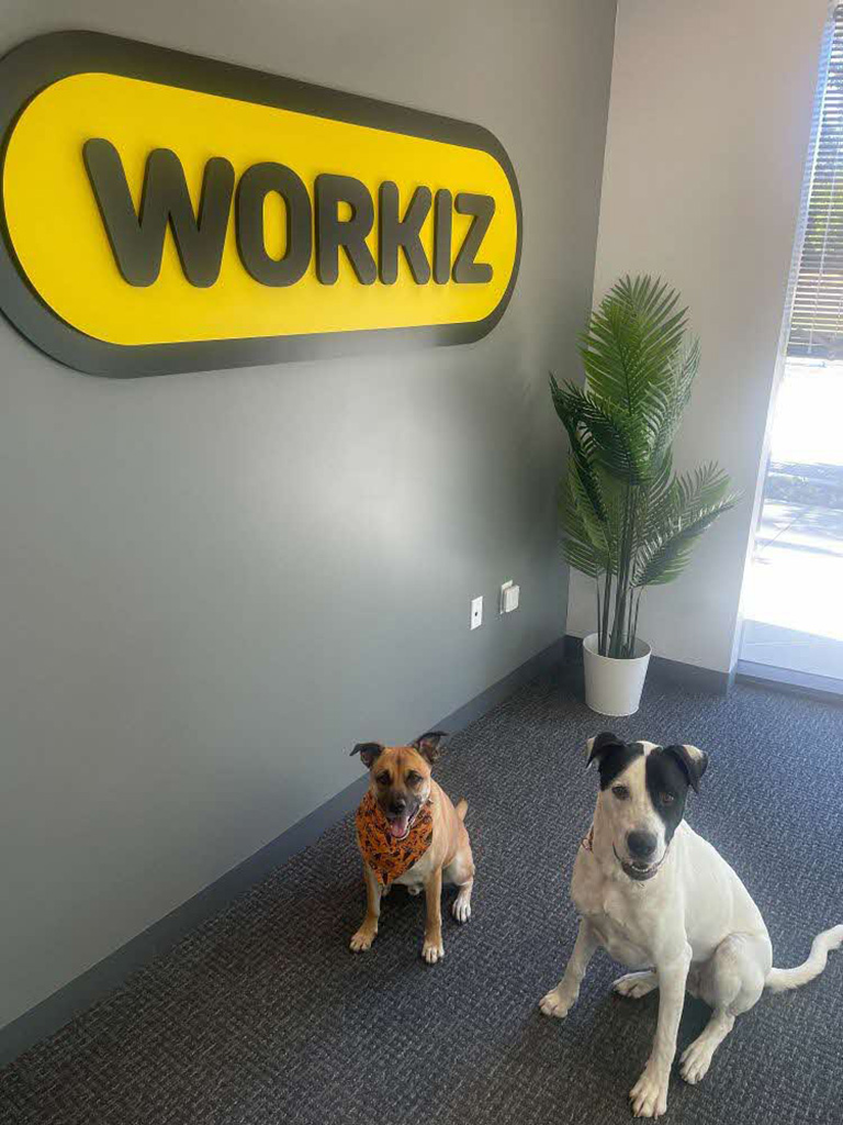 Workiz - 7