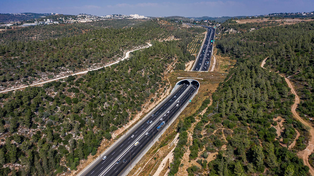 Levy Shtark Zilberstein Consulting Engineering Ltd. - 6