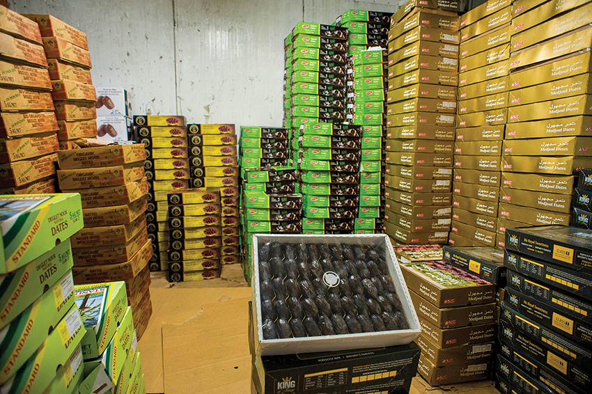 Ksantini Wholesale Marketing Rehovot 1991 Ltd. - 10