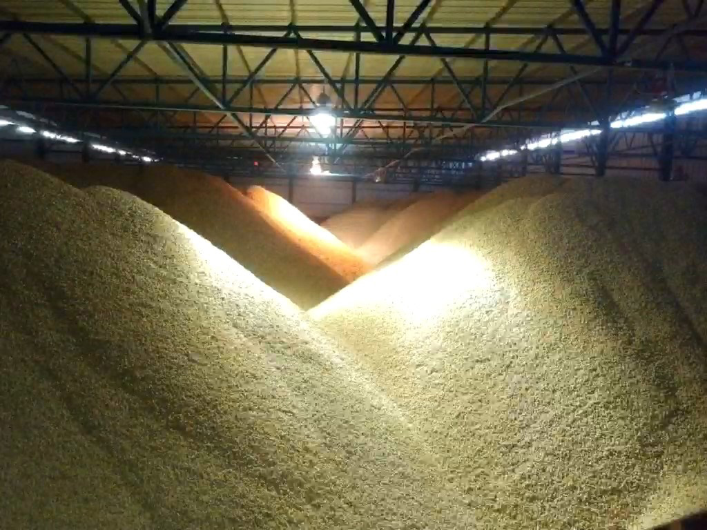 Tene Negev Ltd. - 2