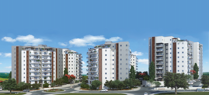Levinstein Group - pic 19