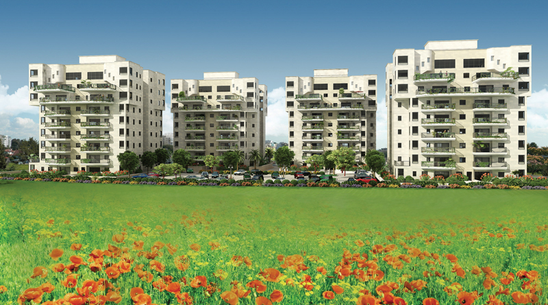 Levinstein Group - pic 8