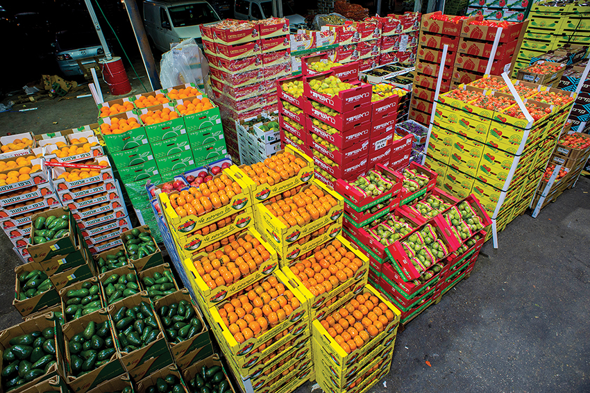 Ksantini Wholesale Marketing Rehovot 1991 Ltd. - 9