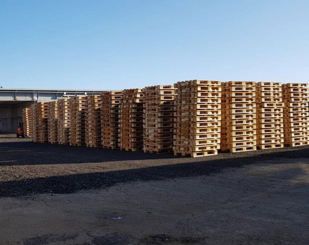 Lon Arizot Hasharon ltd. - 3