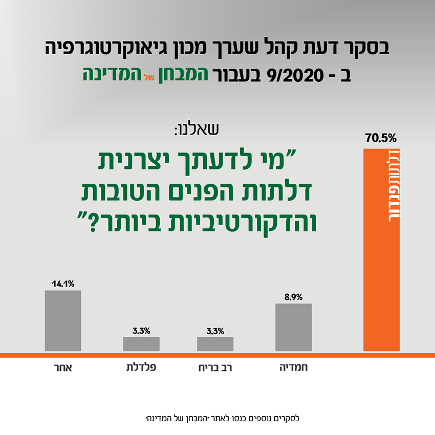 דלתות פנדור - תמונת חברה | דלתות פנדור דלתות פנדור - תמונת חברה | דלתות פנדור