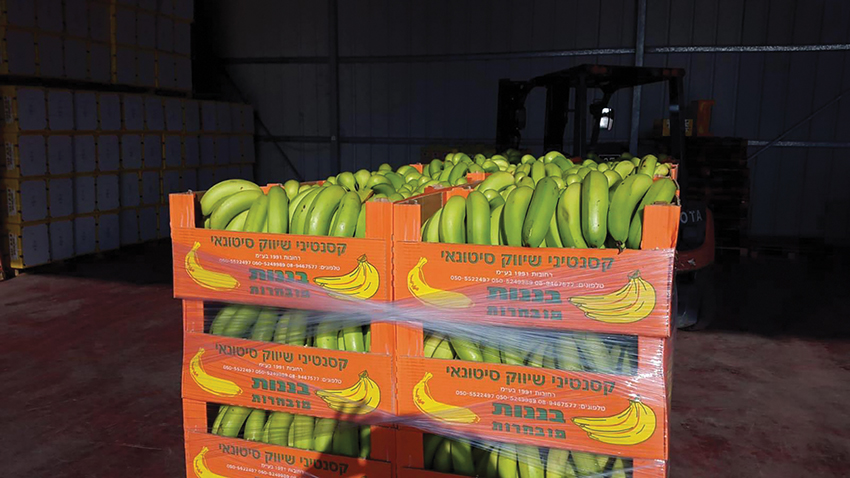 Ksantini Wholesale Marketing Rehovot 1991 Ltd. - 7