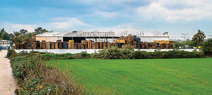 Lon Arizot Hasharon ltd. - 2