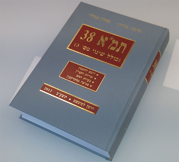 מיכה גדרון - משרד עורכי דין - תמ"א 38, מיכה גדרון מיכה גדרון - משרד עורכי דין - תמ"א 38, מיכה גדרון