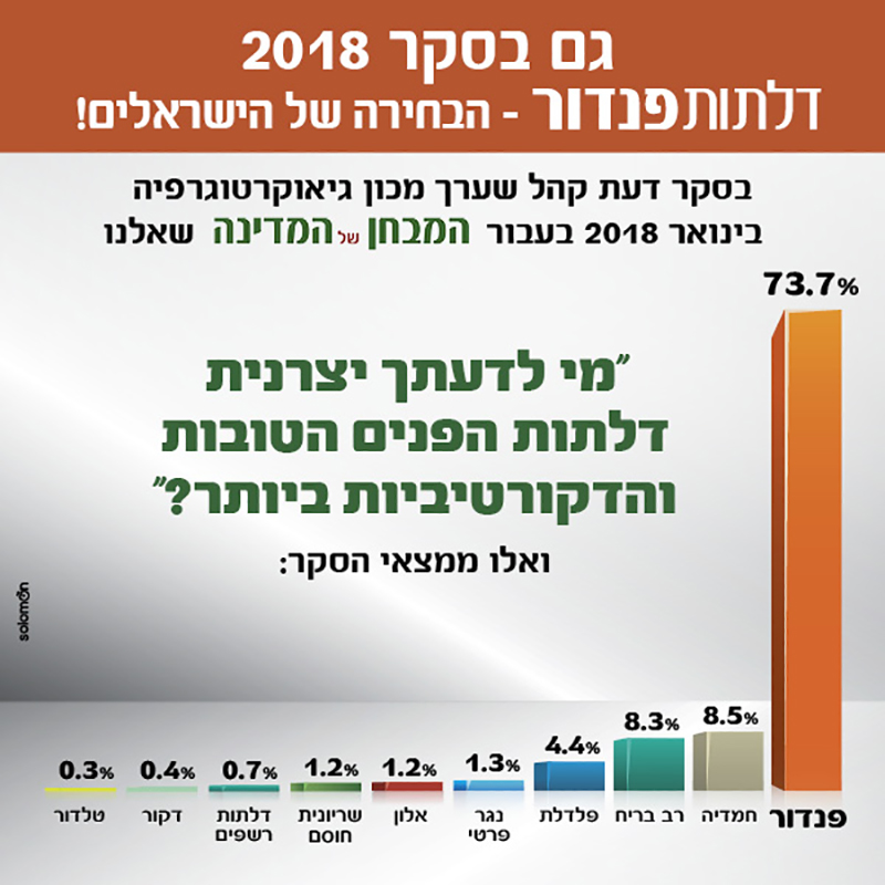 דלתות פנדור - תמונת חברה | דלתות פנדור דלתות פנדור - תמונת חברה | דלתות פנדור