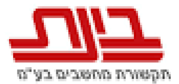 בינת