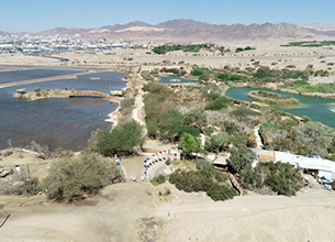 Sami Noufi & Sons Ltd. - Bird Watching Park