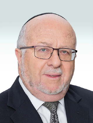 Shlomo Eisenberg, Malam-Team Group