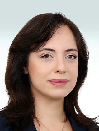 Lia Karel, Papish Karel & Co., Law Office