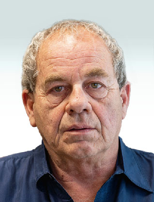 דוד גולדשמידט