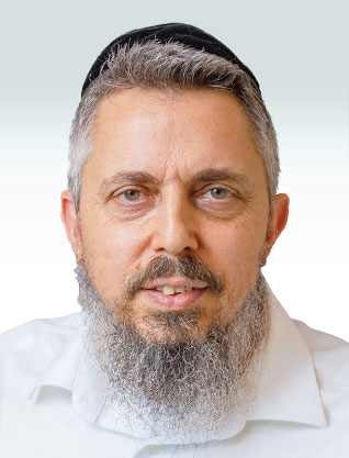 Fredy Elgamily, Z.F. Development and Construction